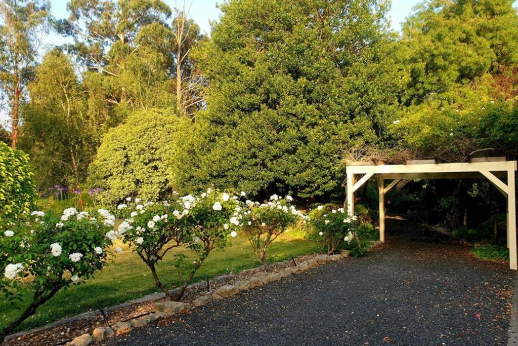 Bella Mia Tuscan Paradise مونت غامبير المظهر الخارجي الصورة