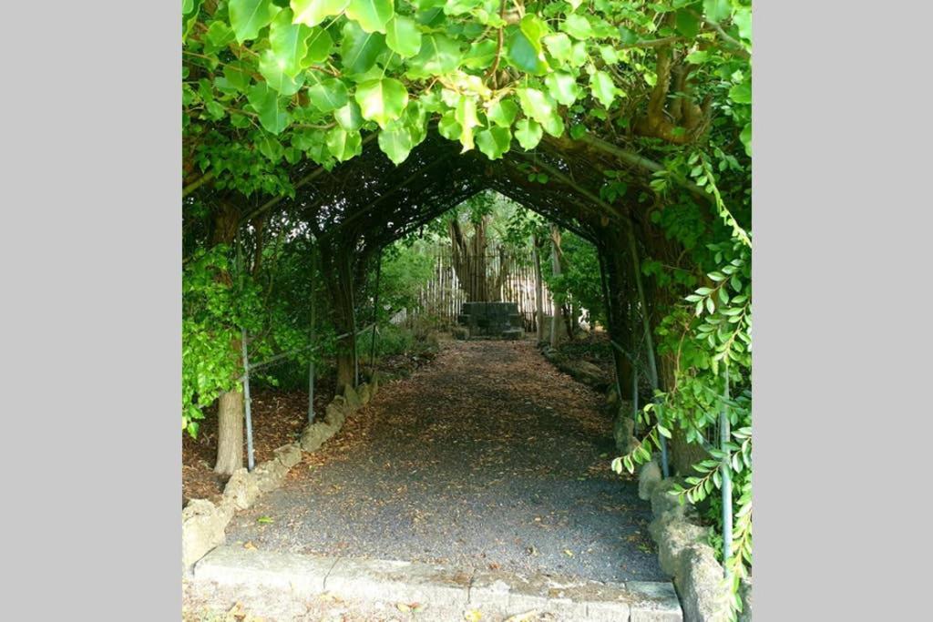 Bella Mia Tuscan Paradise مونت غامبير المظهر الخارجي الصورة